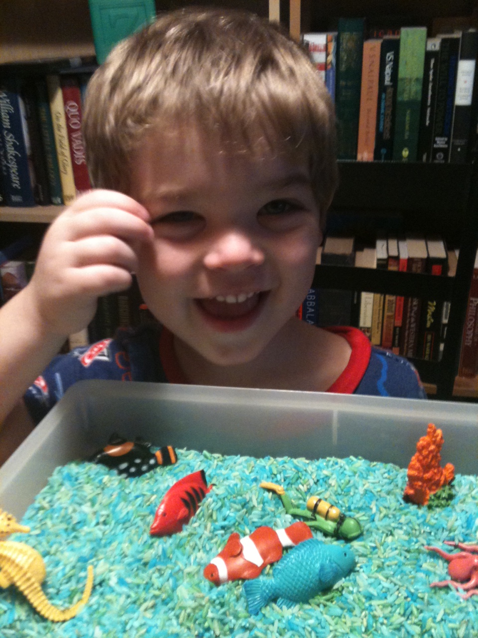 Book Review of Craft With Rice & Reading at Reading to Know