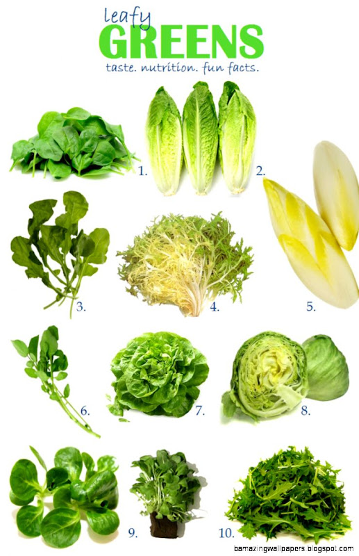 Leafy Vegetable Identification Related Keywords  Suggestions Leafy Vegetable Identification Related Keywords  Suggestions