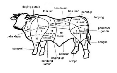 40+ Gambar Sapi Dan Sistem Pencernaannya PNG