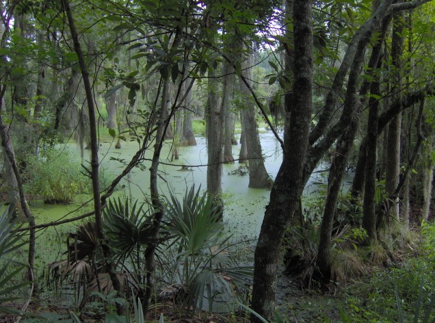 Magnolia Plantation Louisiana