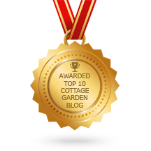 My Award-Winning Blog