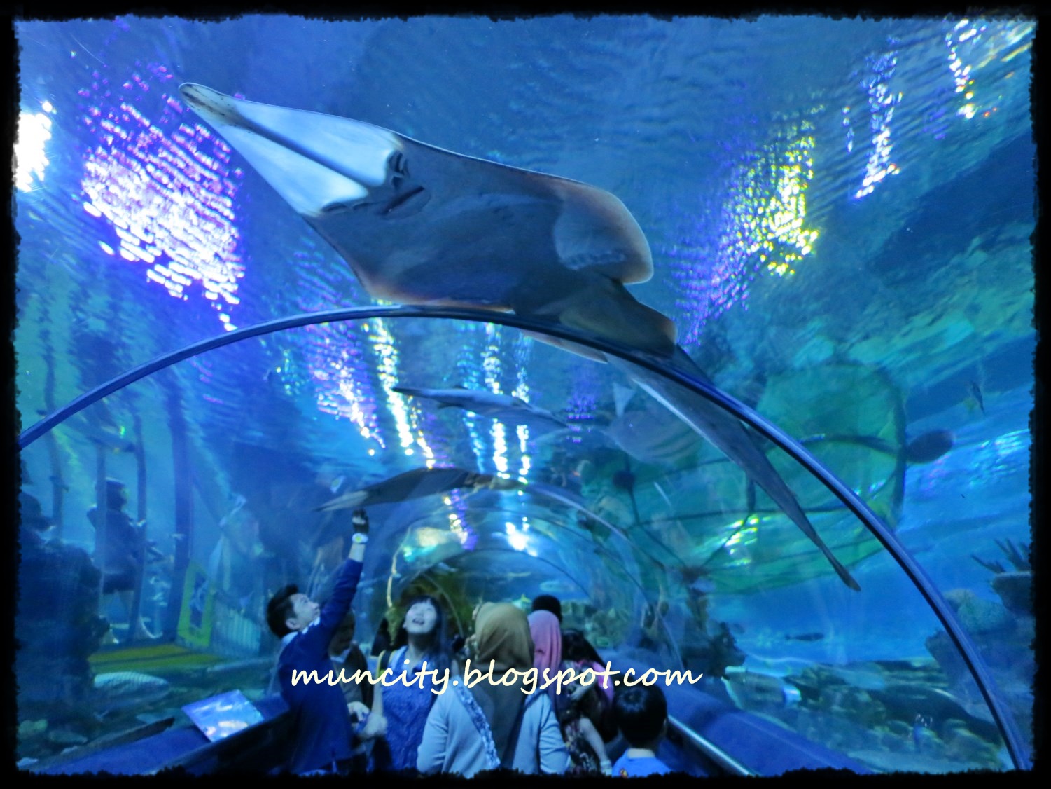 Lalalaland... Aquaria KLCC