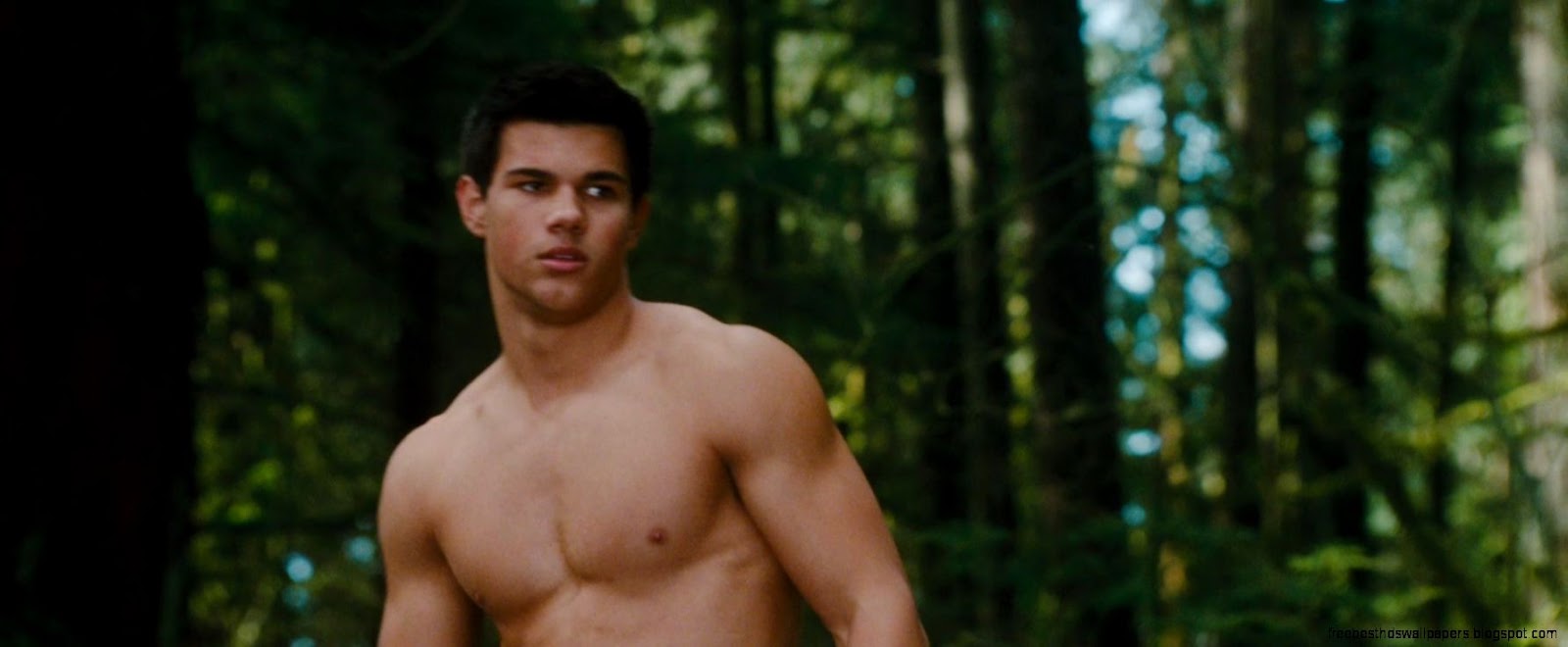 Taylor Lautner images trailer new moon wallpaper photos 6605391 Taylor Lautner images trailer new moon wallpaper photos 6605391