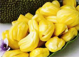 Jackfruit, a panacea for wrinkles and acne