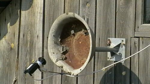 Goldfischli Februar 2012