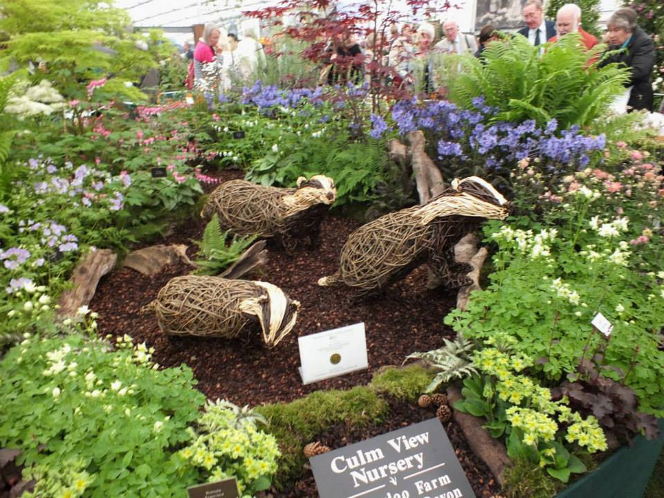 Pittosporum Stock Photos Pittosporum Stock Images Alamy