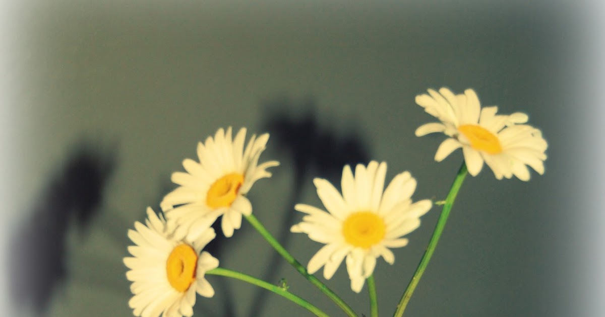 Temporary Waffle Penny Watered Flowers