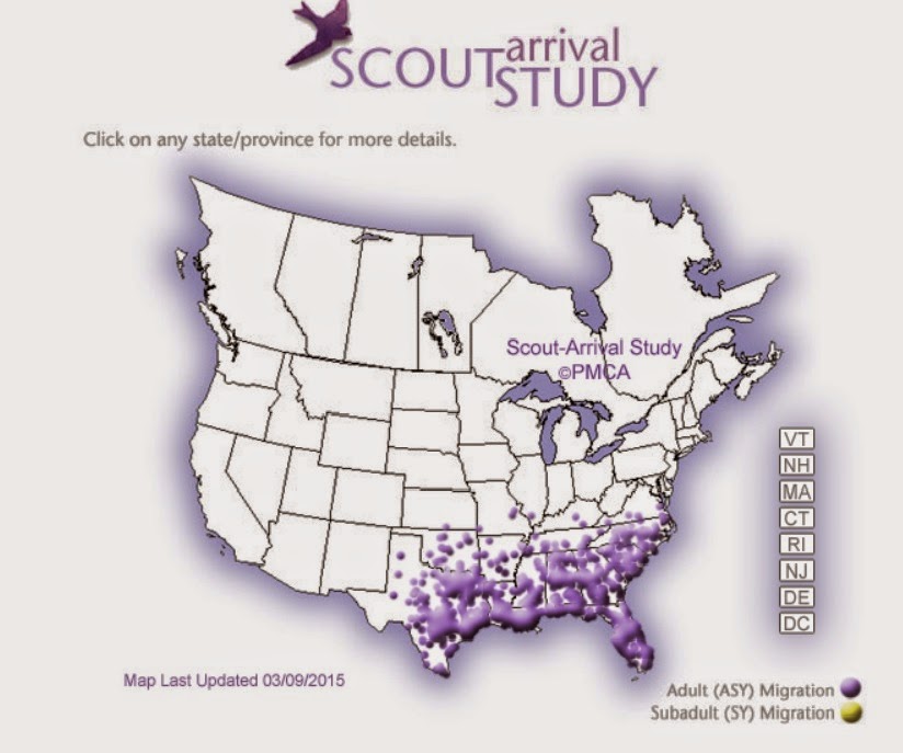 The Birds & The Bees Purple Martins Moving into MissouriMigration 2015