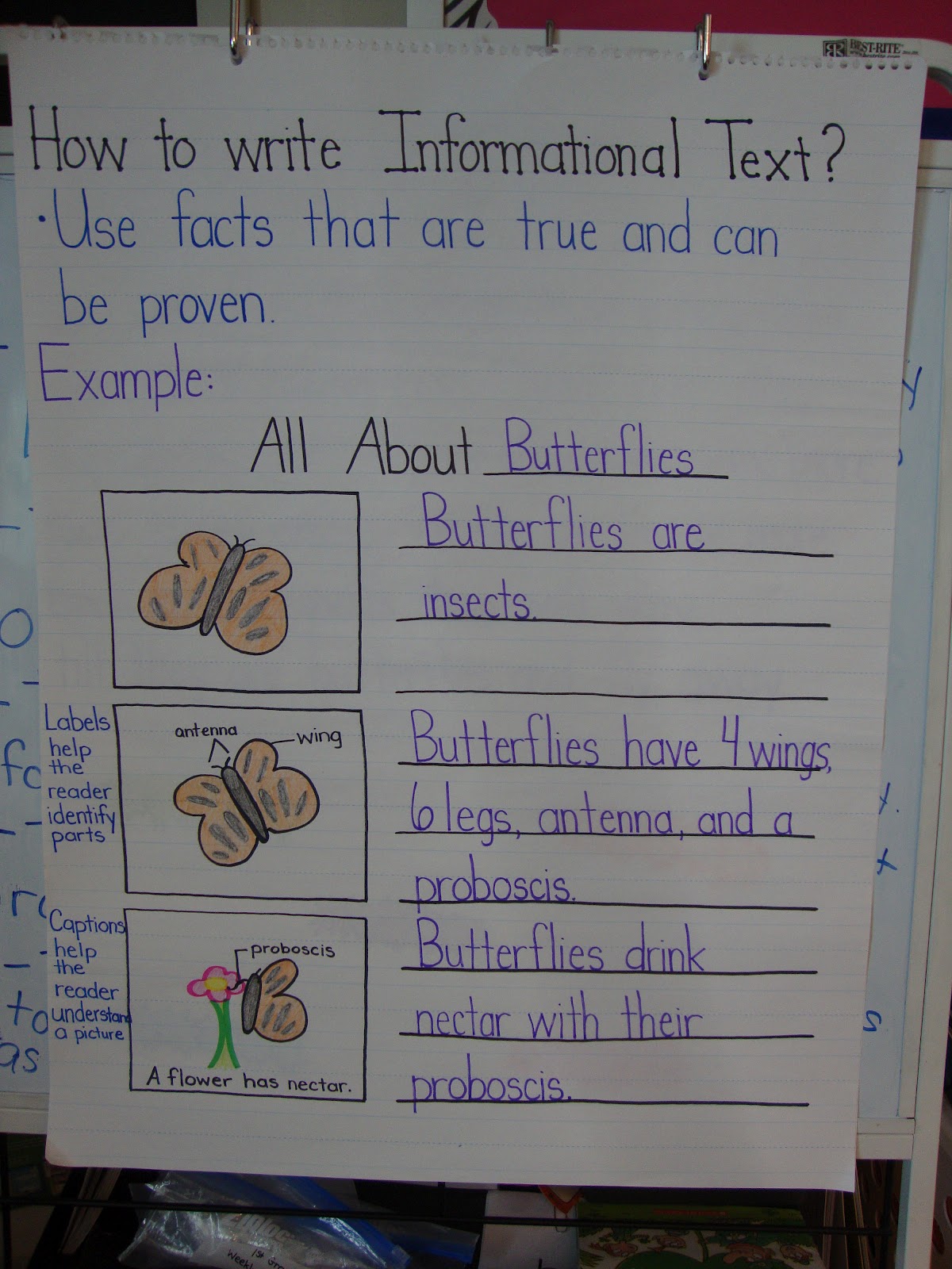 The Teacher's Backpack: I've caught the bug!
