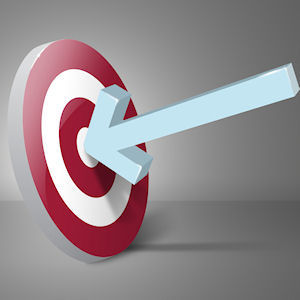 Objectives and Roles