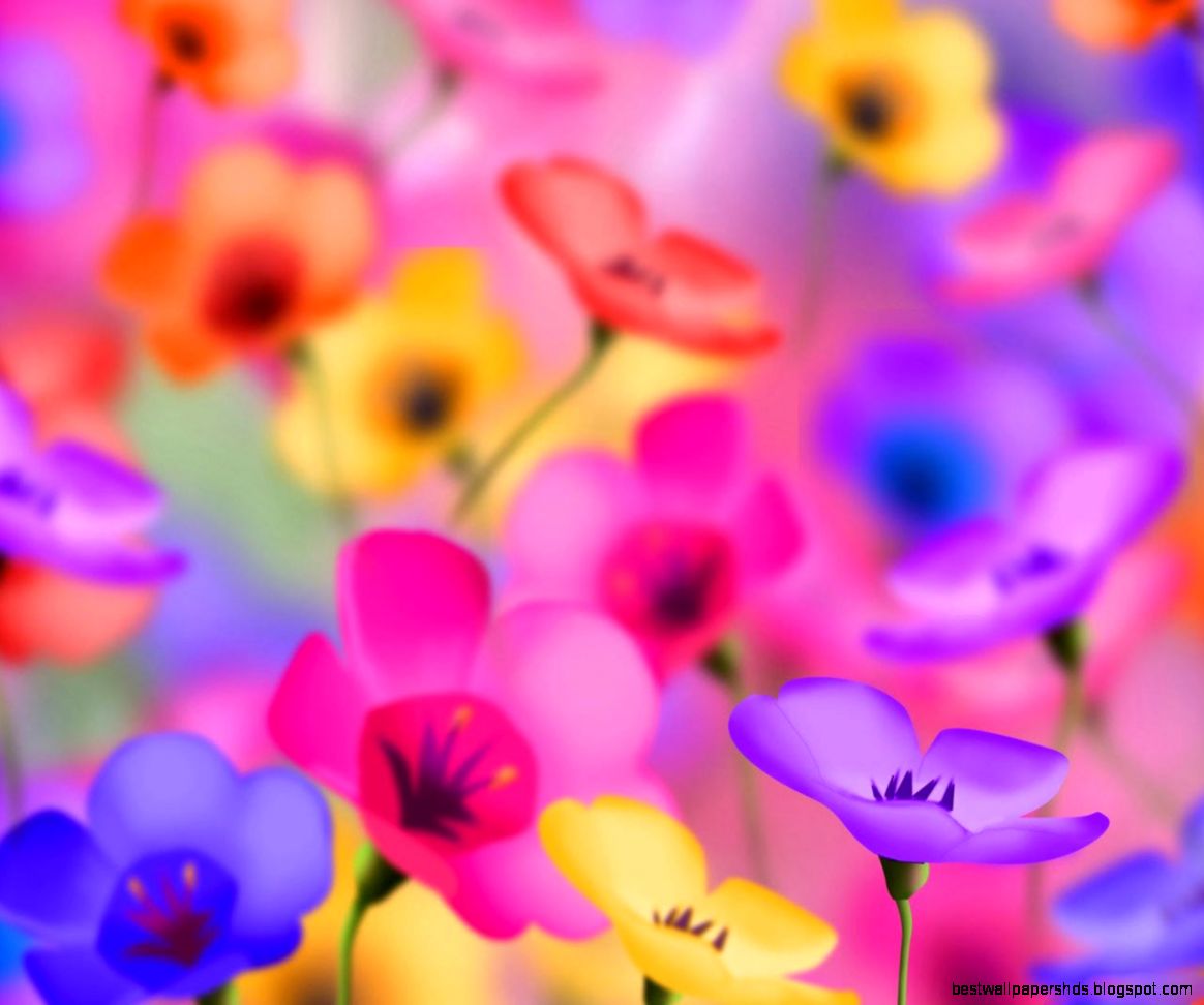 Download Desktop Gallery Windows Colorful Flowers Desktop Download Desktop Gallery Windows Colorful Flowers Desktop