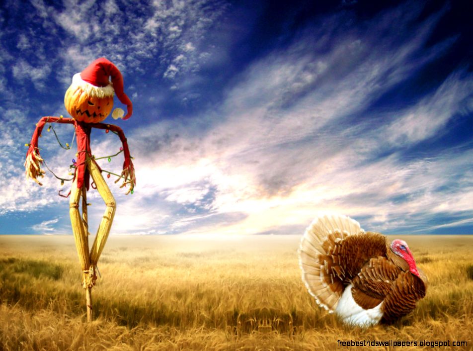 Funny Christmas Scarecrow 4214291 1024x768 All For Desktop Funny Christmas Scarecrow 4214291 1024x768 All For Desktop