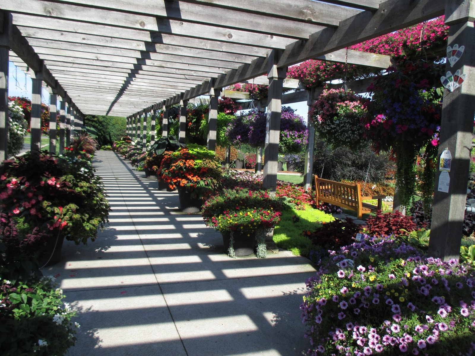 Four Star Greenhouse Trial Garden Rotary Botanical Gardens
