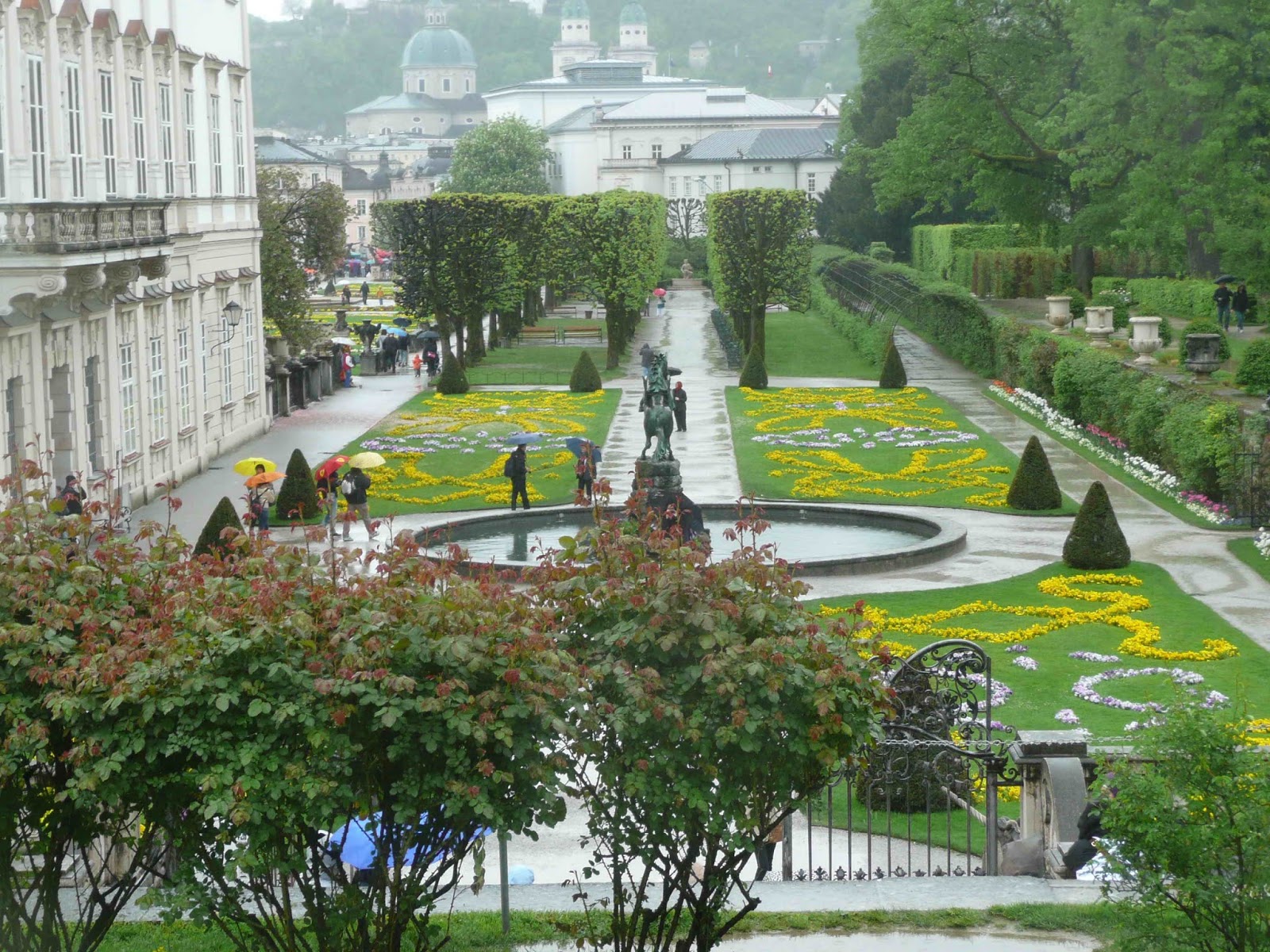 Цветы мирабель 24