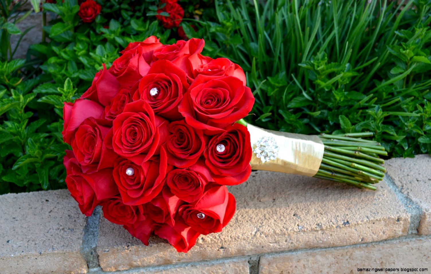 Summer Classic Red Wedding Bouquets Flower Meanings Pictures Summer Classic Red Wedding Bouquets Flower Meanings Pictures