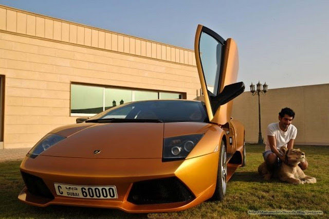 Lamborghini - Two beasts together