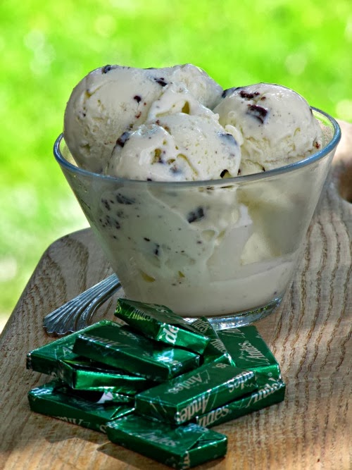 Pine Cones and Acorns Andes Mint Chip Ice Cream (Creme de Menthe)