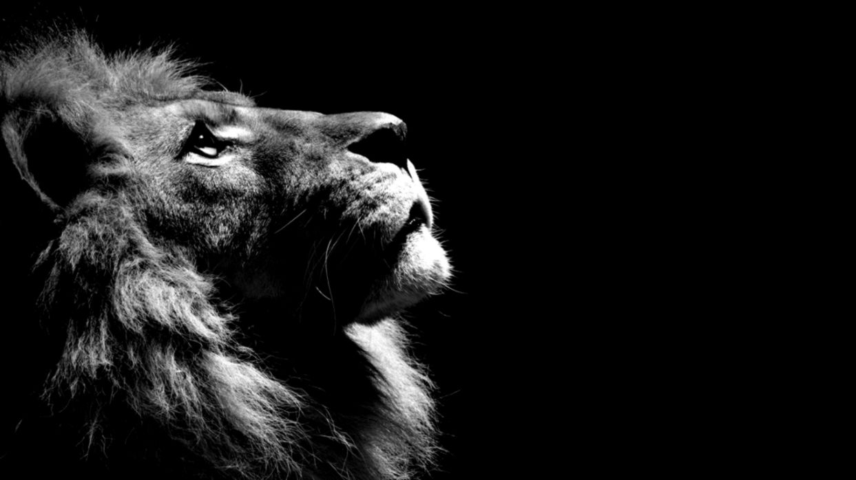 Black amp White HD Wallpapers Hd Wallpapers Black amp White HD Wallpapers Hd Wallpapers