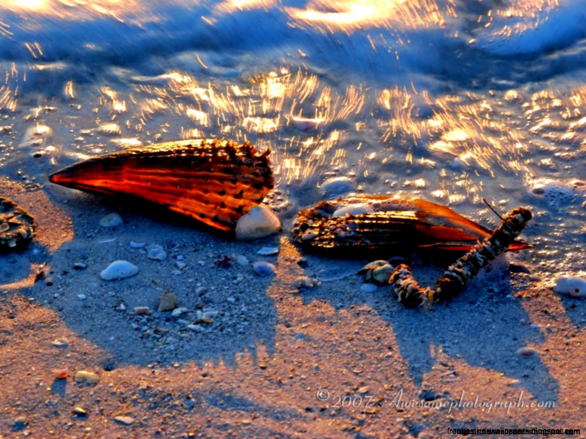 Gallery Popular Screensavers My Desktop Wallpaper Free Best Hd Gallery Popular Screensavers My Desktop Wallpaper Free Best Hd