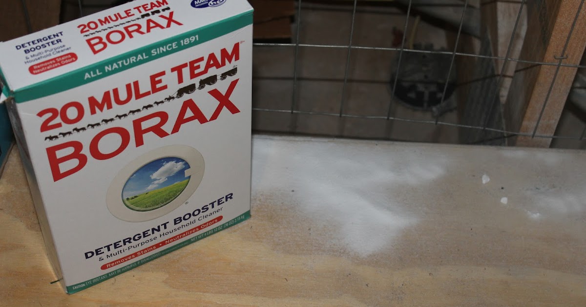 Dealy Os Product Reviews 20 Mule Team Borax Review And