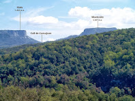Aiats i el Montcalm separats pel Coll de Comajoan sobresurten per damunt d'espeses boscúries Aiats i el Montcalm separats pel Coll de Comajoan sobresurten per damunt d'espeses boscúries