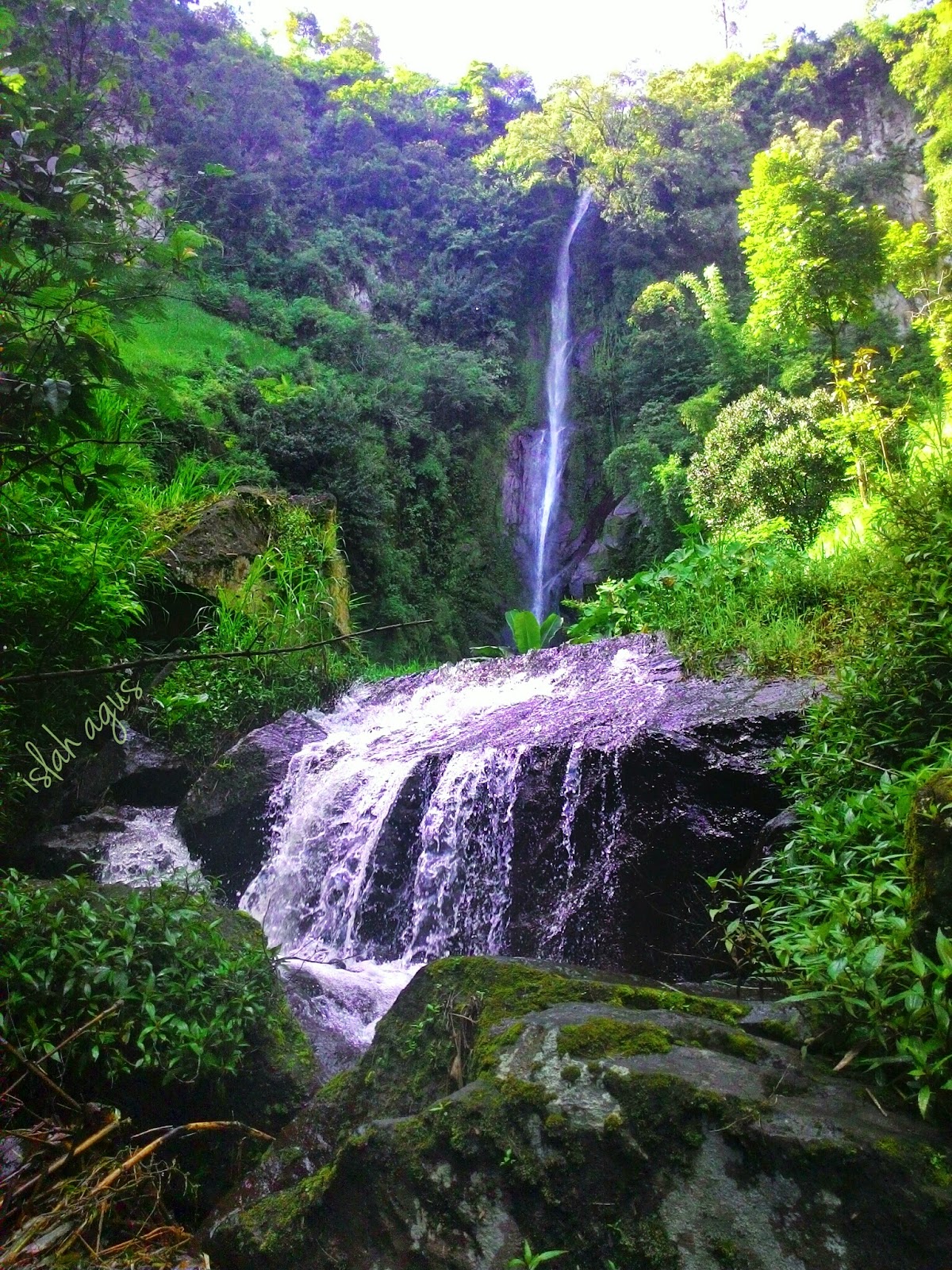 Coban Cinde, Coban Jahe, Coban Sewu, Banyu Anjlok, Coban Trisula, Air Terjun Sumber Pitu Tumpang, Grojogan Sewu, Coban Rais, Coban Parang Tejo, Coban Pelangi, Coban Talun, Coban Rondo, Coban Putri, Coban Kodok, Coban Baung, Air Terjun Goa Naga Gintung, Air Terjun Telaga 3 Warna, Coban Glotak, Coban Siuk, Coban Tengah, Coban Manten, Coban Ciblungan, Coban Tumpak Sewu, Air Terjun Ringin Gantung, Air Terjun Sumber Pitu Pujon, Coban Kethak, Coban Tundo, Coban Mbok Karimah atau Coban Nirwana , Air Terjun Gintung, Coban Tundo 3, air terjun di malang selatan, air terjun di malang batu, air terjun di malang dimanfaatkan untuk, air terjun putri di malang, fungsi air terjun di malang, 4 air terjun di malang, air terjun terindah di malang, air terjun di pujon malang, air terjun di tumpang malang, air terjun di daerah batu malang, air terjun di kota batu malang, nama air terjun di batu malang, air terjun terindah di batu malang, tempat wisata air terjun di batu malang, air terjun yang ada di batu malang, air terjun coban rondo di batu malang, daftar air terjun di batu malang, pantai air terjun di malang selatan, wisata air terjun di malang selatan, air terjun dan pantai di malang selatan, air terjun tirtoyudo malang selatan, air terjun banyu anjlok malang selatan, wisata air terjun malang selatan, air terjun daerah malang selatan, air terjun kembar malang selatan,