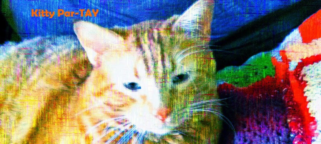 Kitty Par-TAY