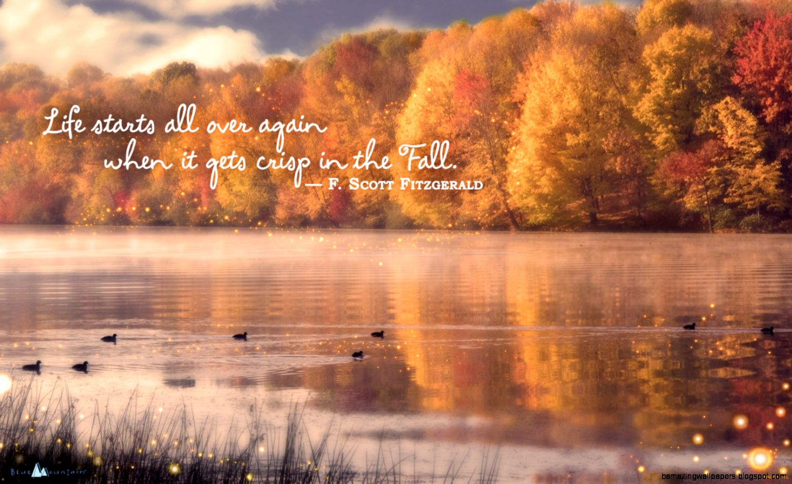 Fall Facebook Cover photo Archives   Blue Mountain Blog Fall Facebook Cover photo Archives   Blue Mountain Blog