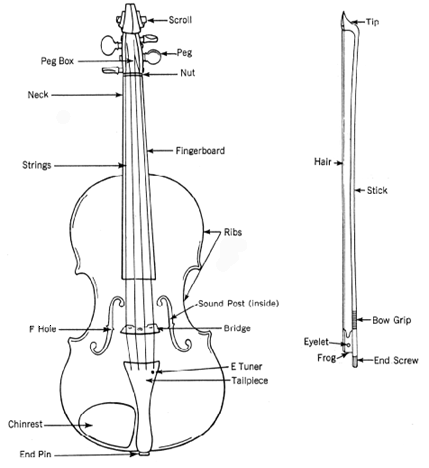 Online Carnatic Music: Images of Violin - Parts Name