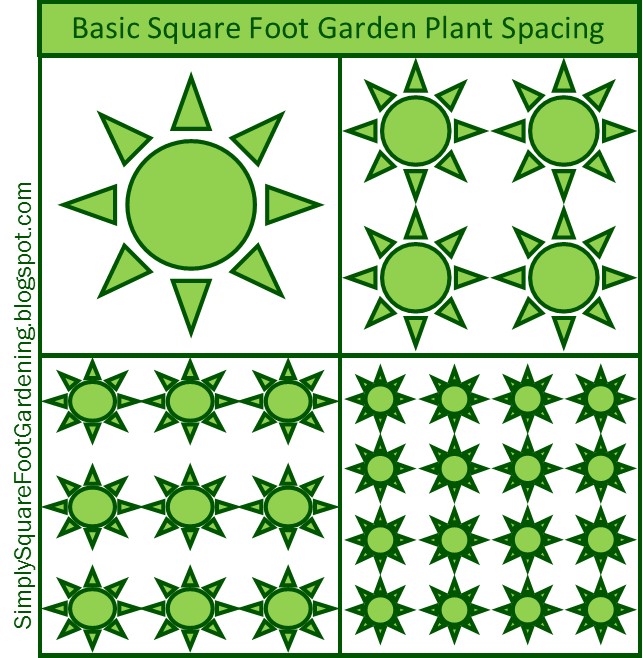 Simply Square Foot Gardening Plant Spacing In A Square Foot Garden