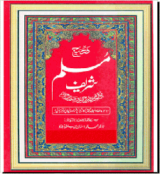 Windows Server Blog - Your Guide to the Latest Windows