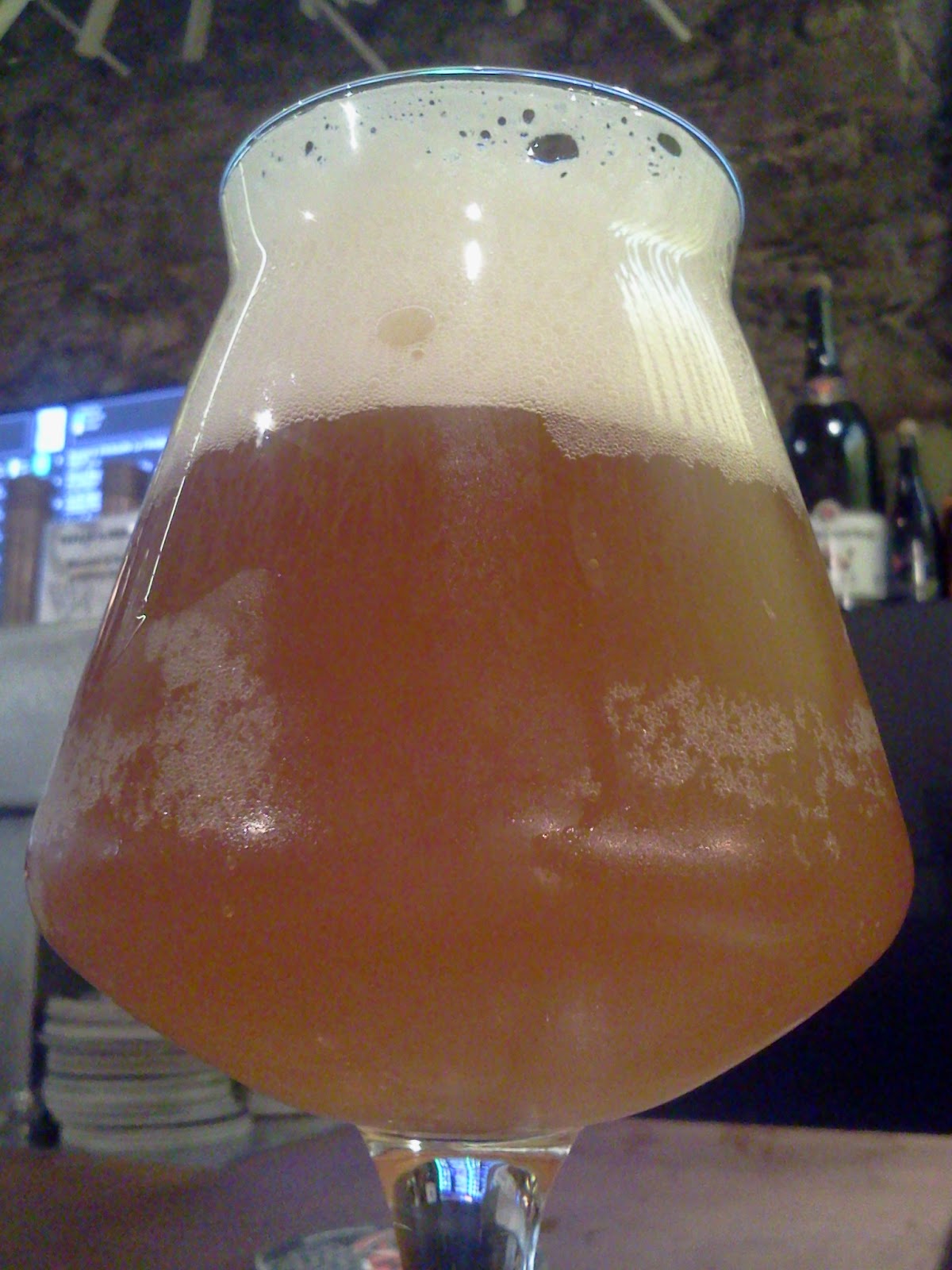 To Øl Sur Mosaic Average Guy's Guide to Beer