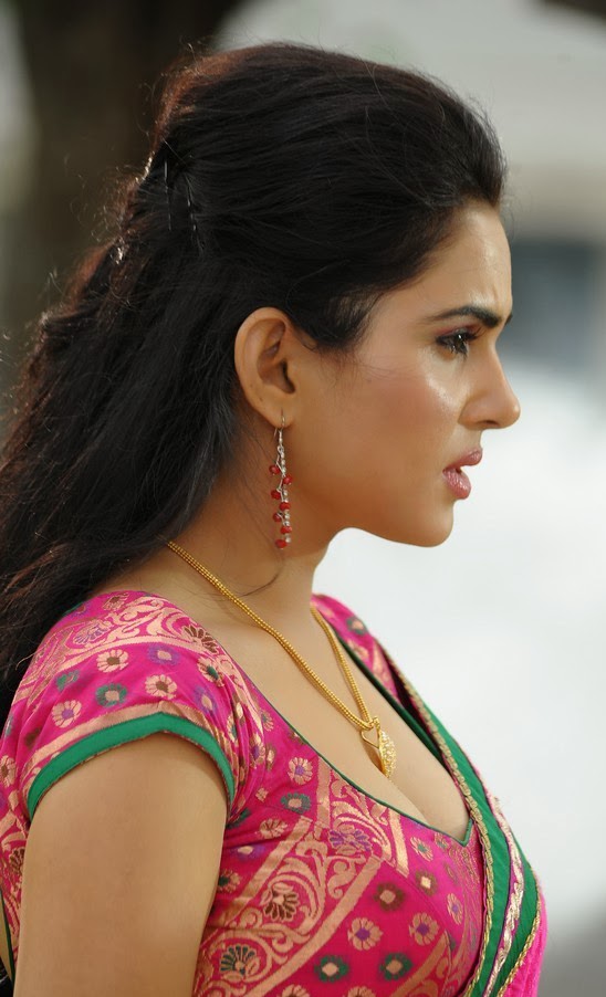 Kavya Singh Hot Side View And Cleavage Show In Saree Kavya Singh Hot Side View And Cleavage Show In Saree