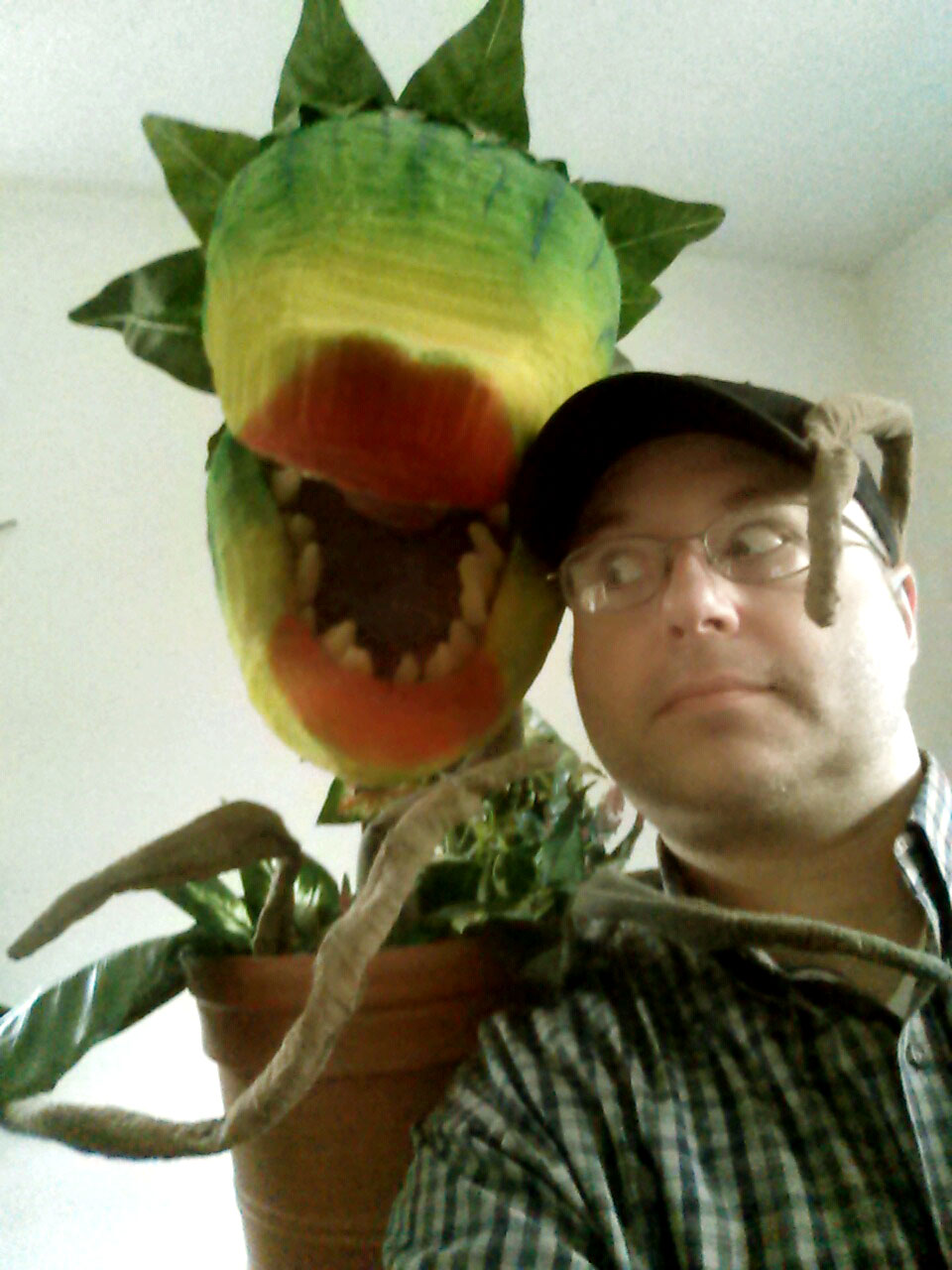 Muleythemule Com Feed Me Git It Little Shop Of Horrors My Obsession