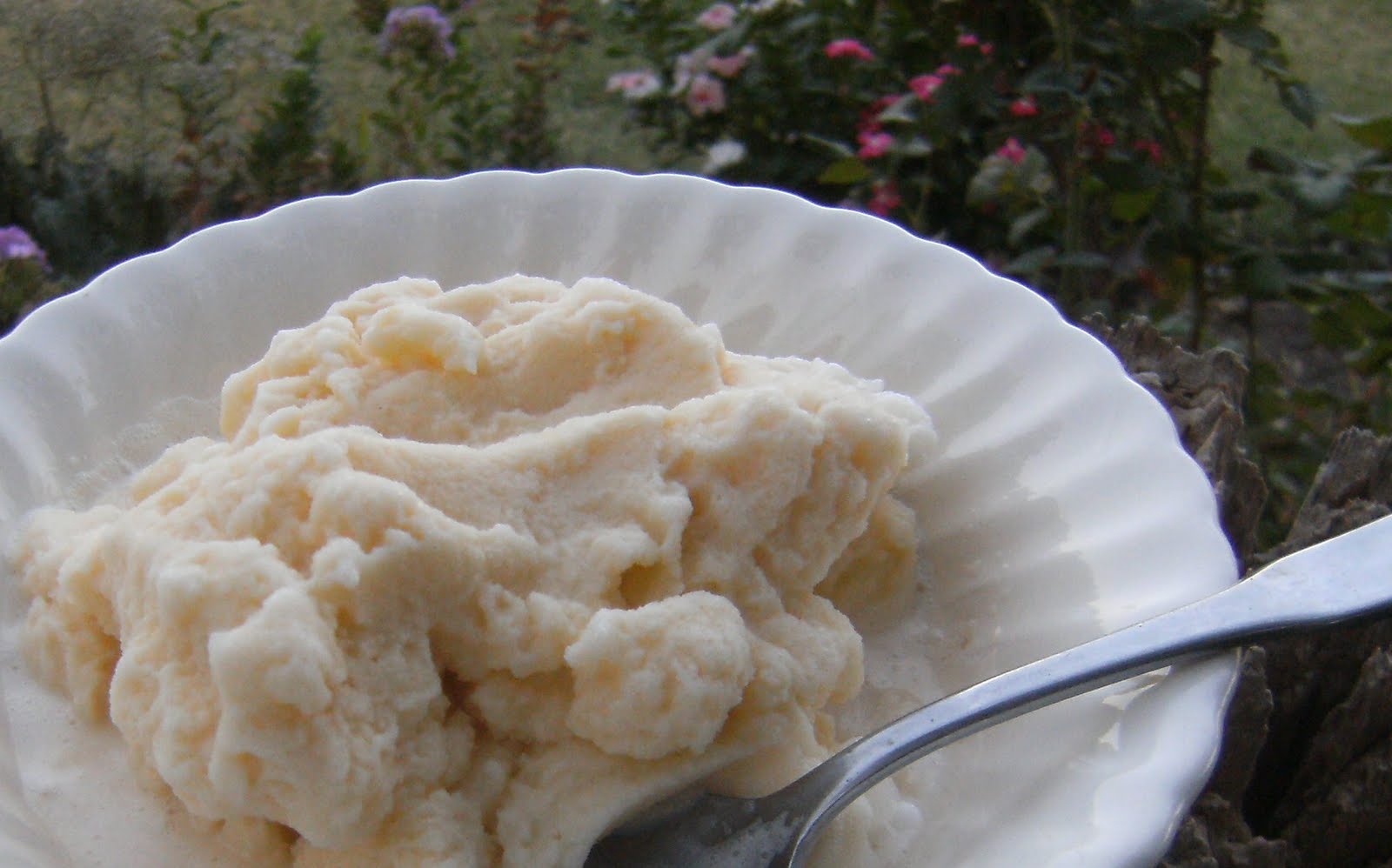 See the Beauty in the Ordinary A Dozen Egg Yolks French Vanilla Ice Cream