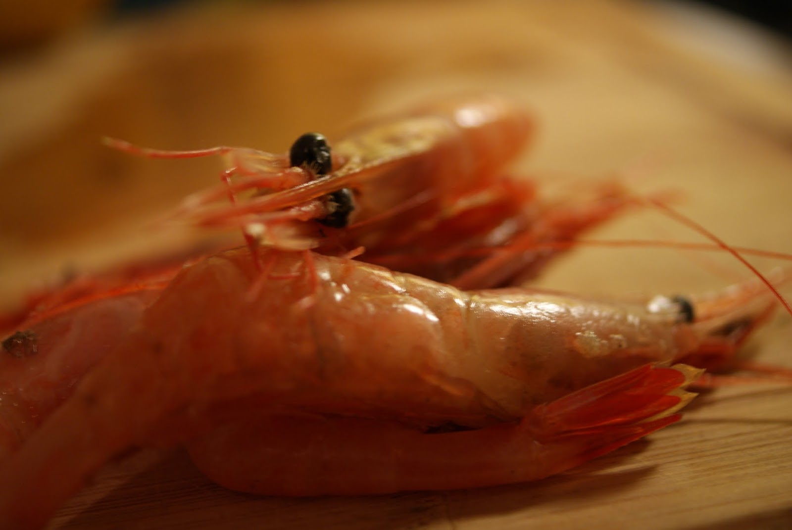 Soused Blueberries Maine Shrimp Season Is Here Squeeeee!