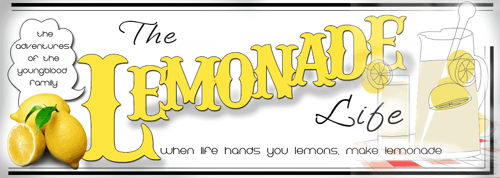 The Lemonade Life