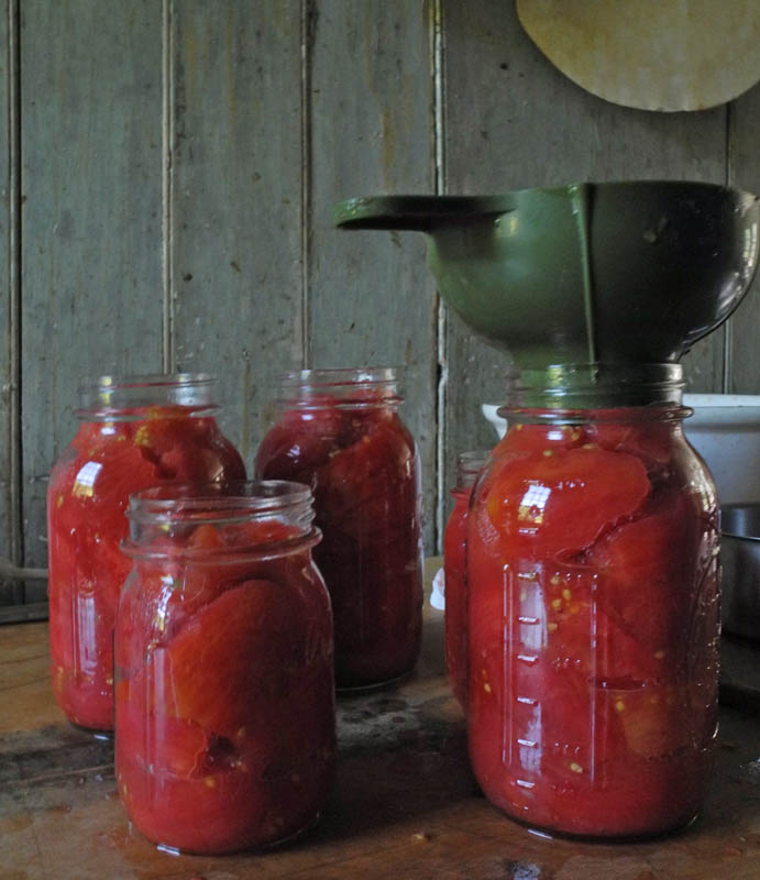 Studio and Garden Canning Tomatoes
