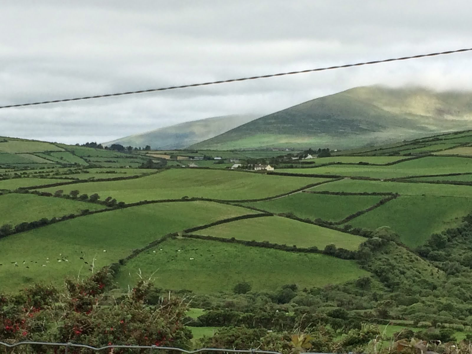 How many shades of green does Ireland have?