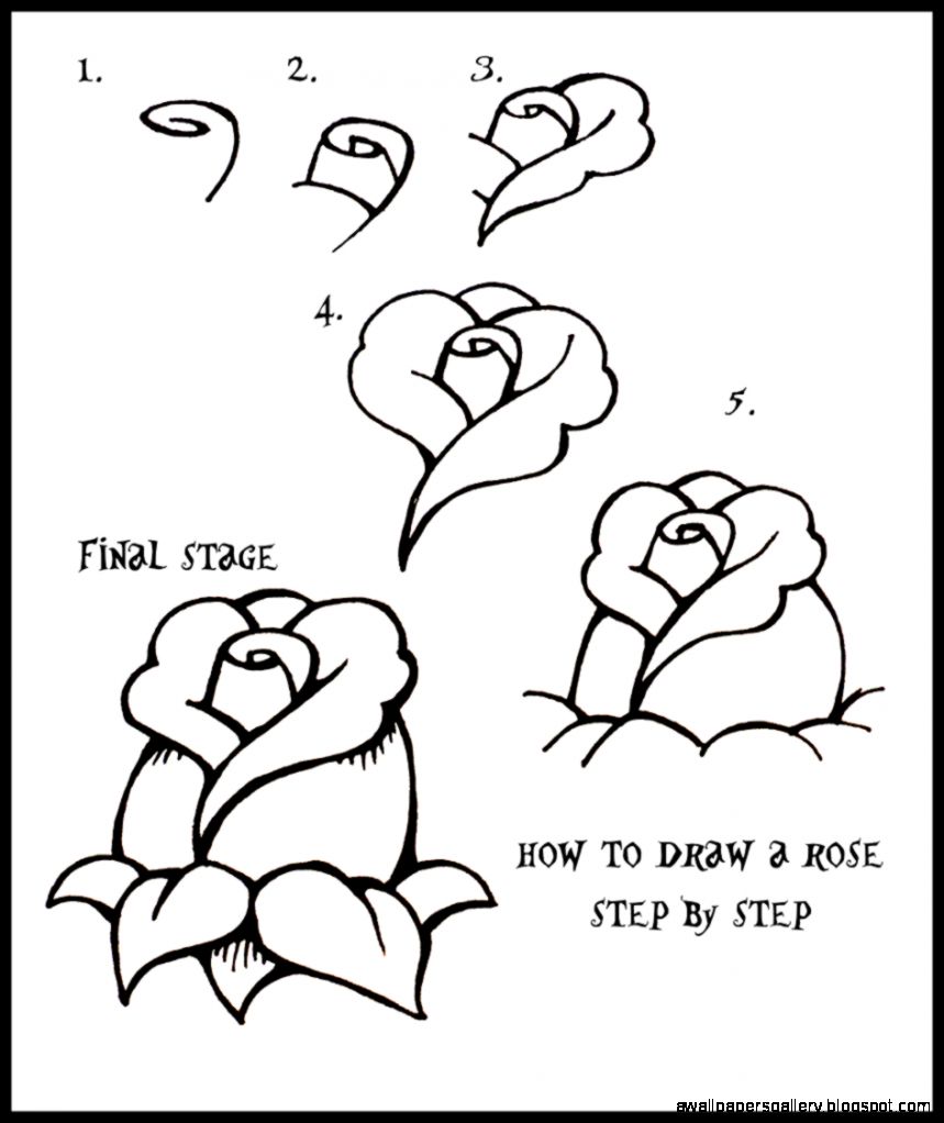How To Draw A Rose Art For Kids Hub How To Draw To Draw and How To Draw A Rose Art For Kids Hub How To Draw To Draw and