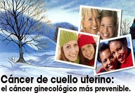 Para que día después de la concepción comienzan a estar enfermos los riñones