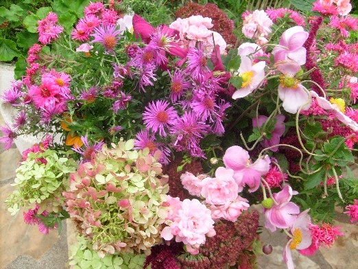 Ma Planete Jardin Octobre 2013