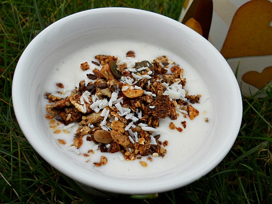 hemmagjord musli med kokos hemmagjord musli med kokos