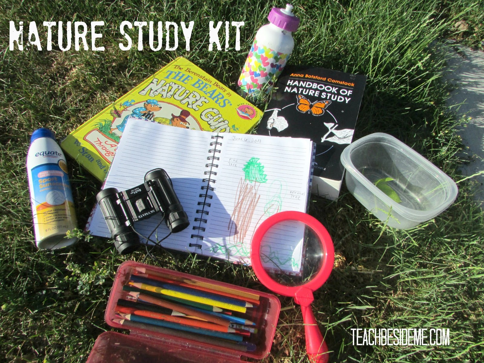 Starting a Summer Nature School Teach Beside Me