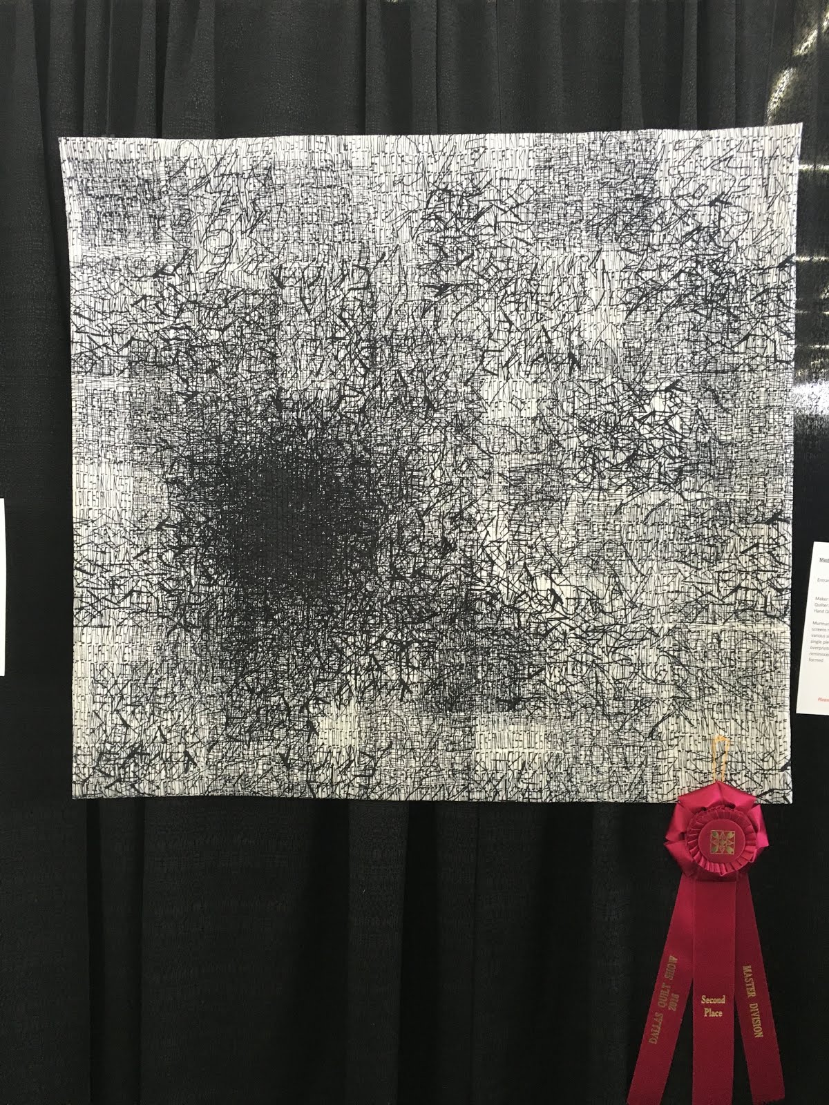 Deborah's Journal Dallas Quilt Show Part 3