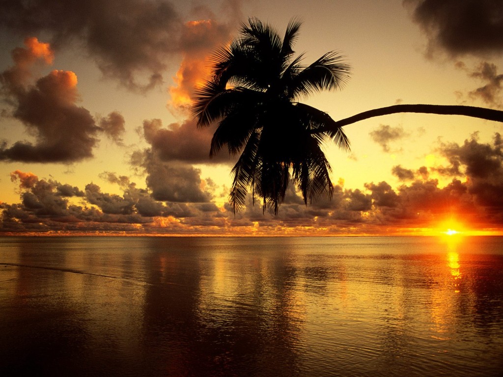 http://3.bp.blogspot.com/-pyp__EEyRXw/T4MstFlrwRI/AAAAAAAAA34/KMAXeOsfe8o/s1600/Atardecer.jpg