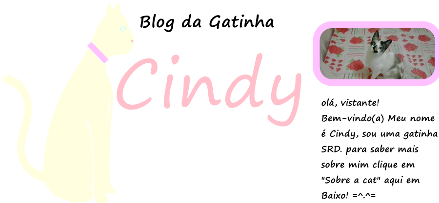 Blog da Gata Cindy