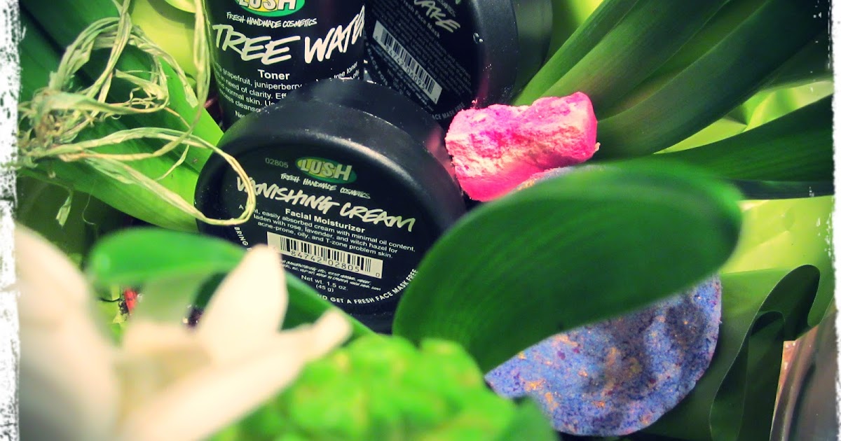 AdornedBeauty21 LUSH for Acne