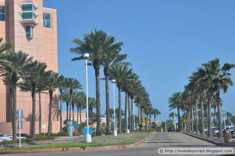 Near Moody gardens, Hoston