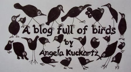 A Blog Full of Birds
